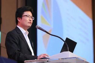 宋清辉最新爆料,揭秘行业内幕，深度剖析事件真相