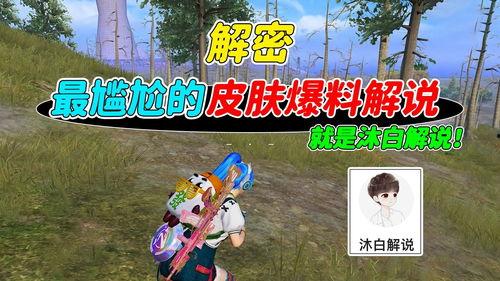 沐白爆料解说全部视频,深度解析全部爆料视频内容